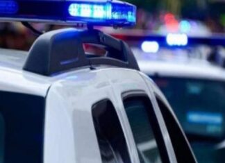 Κιλκίς: Κύκλωμα παράνομων μεταβιβάσεων οχημάτων εξυπηρετούσε οδηγούς με «φακελάκι» -Το… πεσκέσι και η ταρίφα