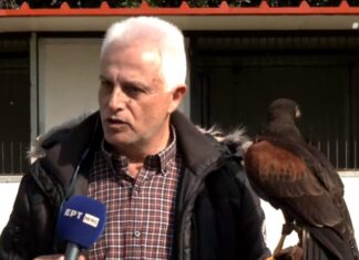 Λάρισα: Τα γεράκια του Δήμου που κρατούν την πόλη καθαρή (βίντεο)