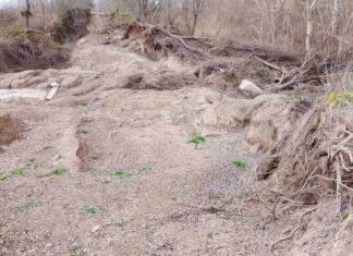 Τα σπασμένα φράγματα στον Πηνειό απειλούν με νέες πλημμύρες το Δήμου Τυρνάβου