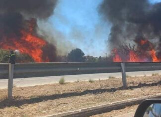«Καμπάνα» στον… μπουρλοτιέρη της ΠΑΘΕ – Ήταν λιώμα μεθυσμένος
