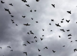 Βροχές και καταιγίδες έρχονται την Παρασκευή