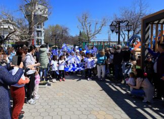 Κάθε Σάββατο και Κυριακή, στο Mikel Train Park ένας κόσμος γεμάτος πολιτισμό, πράσινο και διασκέδαση!