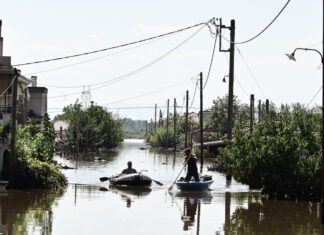 Πώς βλέπουν το σχέδιο των Ολλανδών ο Κουρέτας και ο Μαμάκος