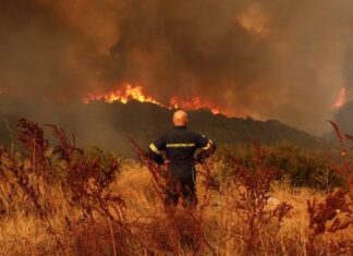 Λάρισα: Πρόστιμο για καύση ξερών χόρτων σε δασική έκταση στον Έλαφο Αγιάς