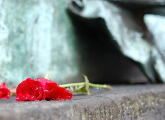 Έξι Λαρισαίοι έφυγαν από την ζωή