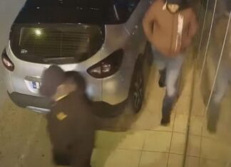 Βαλκανική μαφία: Προφυλακιστέος ο 44χρονος Αλβανός μέλος της ομάδας Σέρβων εκτελεστών