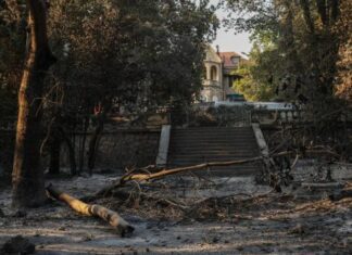 Τατόι: Πήρε άδεια επισκευής για πυρόπληκτο κτίσμα 120 τ.μ. και έχτισε ξενοδοχείο… 2.000 τετραγωνικών