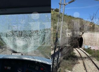 Άγιος Στέφανος: Φωτογραφίες ντοκουμέντα από τη σύγκρουση τρένου με πεσμένο δέντρο