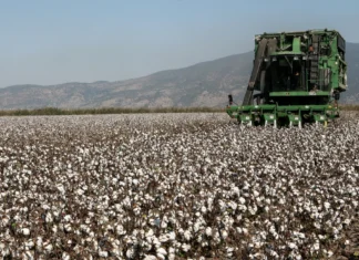 Τι γίνεται με την ερημοποίηση σε Λάρισα και Θεσσαλία-Πόσο εφικτή είναι η συνέχιση της καλλιέργειας βαμβακιού λόγω της κλιματικής αλλαγής