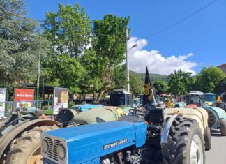 Οργή στην Αγιά για τις αποζημιώσεις και…ογκώδες συλαλητήριο από αγρότες Αγιάς και Τεμπών(ΦΩΤΟ)