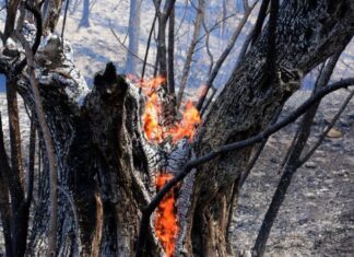 Υμηττός: Προφυλακιστέος ο άντρας που συνελήφθη για την πυρκαγιά