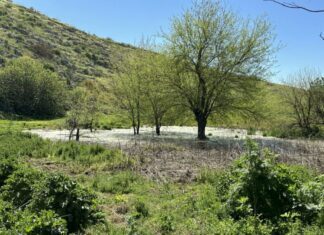 Φάρσαλα: Αναβλύζει νερό μετά από 44 χρόνια!