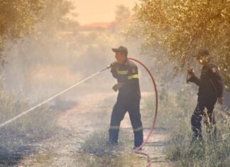Συνελήφθη γυναίκα στον δήμο Σαρωνικού για πρόκληση πυρκαγιάς