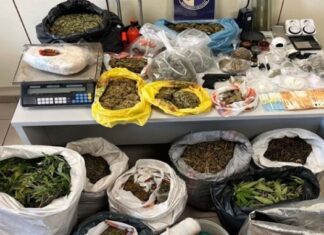 ΜΙΑ ΣΥΛΛΗΨΗ ΣΕ ΧΩΡΙΟ ΤΗΣ ΕΛΑΣΣΟΝΑΣ ΓΙΑ 13,3 ΚΙΛΑ ΧΑΣΙΣ ΚΑΙ ΚΟΚΑΪΝΗ