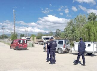 Λάρισα: Συνεχίζεται η έρευνα των εκπαιδευμένων σκύλων