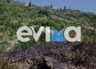 Εύβοια: Υπό έλεγχο η φωτιά στο χωριό Καλημεριάνοι εν μέσω ισχυρών ανέμων