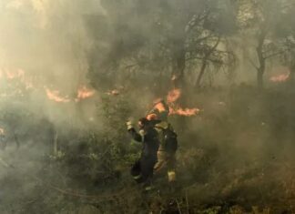 Βοιωτία: Πυρκαγιά σε εξέλιξη στην Αλίαρτο – Δεν απειλούνται κατοικημένες περιοχές