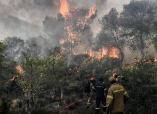 Λάρισα: Συναγερμός της Πυροσβεστικής για Δασική πυρκαγιά κοντά σε χωριό της Αγιάς
