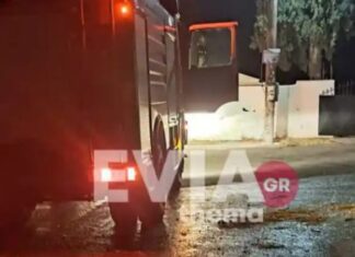 Χαλκίδα: Πέταξε σκύλο σε κάδο απορριμμάτων και του έβαλε φωτιά