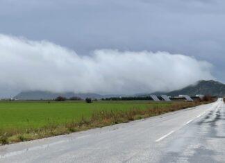 Λάρισα: Καταρρακτώδης βροχή και αεροσίφουνας πλήττουν τον κάμπο των Φαρσάλων (video)