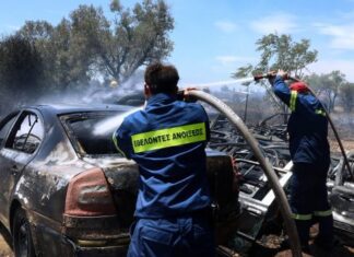 Όχημα λαμπάδιασε στο Κερατσίνι – Κάηκε και ένα δέντρο