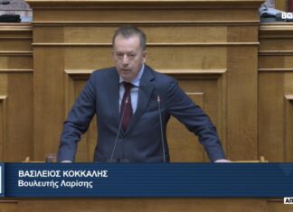 Κόκκαλης: Ανεπαρκής η στήριξη στους μελισσοκόμους που επλήγησαν από τον “Daniel”