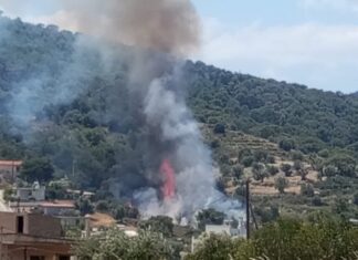 Κλιμάκιο αντιμετώπισης εγκλημάτων εμπρησμού στη Σαλαμίνα μετά από πυρκαγιά