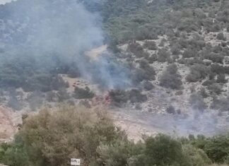 Υπό έλεγχο η φωτιά στην Περιφερειακή Αιγάλεω στον Ασπρόπυργο
