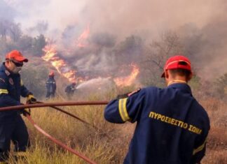 Πυρκαγιές: Αυξήθηκαν τους πρώτους 5 μήνες του 2024 σε σχέση με πέρυσι
