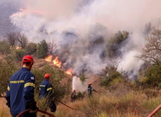 Φωτιά: Στην φυλακή ο Τούρκος που συνελήφθη για τους εμπρησμούς στο Αιγάλεω