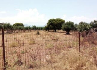 Ακαθάριστα οικόπεδα: Αυτή είναι η νέα πλατφόρμα – «Τσουχτερά» πρόστιμα