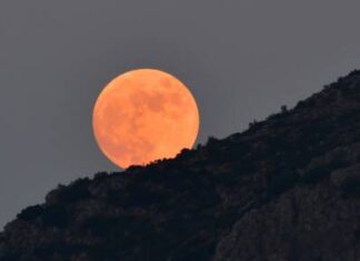 Στο Φως του Αυγουστιάτικου Φεγγαριού: Μουσική εκδήλωση στη Δημοτική Πινακοθήκη Λάρισας