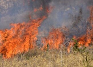 Αχαΐα: Συνελήφθη 74χρονος για εφτά εμπρησμούς σε μια εβδομάδα