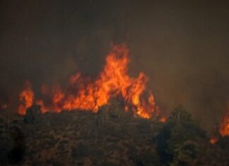 Πήλιο: Συναγερμός για πυρκαγιά κοντά στο χωριό Μούρεσι – Πνέουν δυνατοί άνεμοι