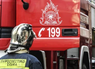 Έφαγε γερή καμπάνα Λαρισαίος που προσπαθησε να κάψει ξερά χόρτα