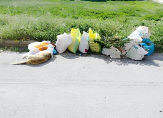 Αποτρόπαιο θέαμα: Νεκρός σκύλος σε σακούλα έξω από κάδο απορριμμάτων στον Τύρναβο