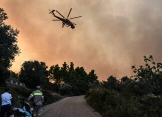 Οκτώ Περιφερειακές Ενότητες στο «κόκκινο» με υψηλό κίνδυνο πυρκαγιάς