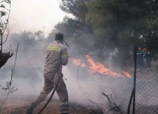 Φωτιά στη Σάμαρη Ευβοίας – Επί ποδός η Πυροσβεστική