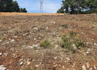 Τι πρέπει να κάνουν οι πολίτες με τις δηλώσεις για τους καθαρισμούς των οικοπέδων