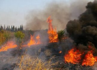 Σέρρες: Έκαιγε περιττώματα ζώων και δέχθηκε πρόστιμο σχεδόν 900 ευρώ