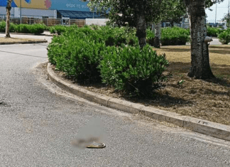 Λάρισα: Ανατριχιαστικό θέαμα! Μεγάλο φίδι σε πάρκινγκ πολυκαταστήματος προκαλούσε πανικό ακόμη και νεκρό (ΦΩΤΟ)