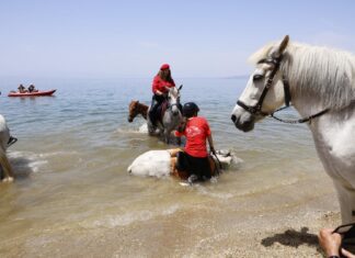 Αναβίωσε το έθιμο Αγιασμού των αλόγων στα Καλά Νερά (ΦΩΤΟ)