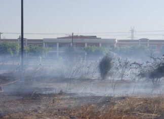 Υπό έλεγχο η φωτιά στο δρόμο προς Τύρναβο (ΦΩΤΟ)
