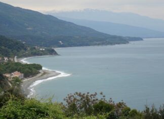 Αυτός είναι ο λόγος που πεθαίνουν τα μύδια στα παράλια Λάρισας
