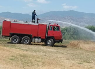 Φωτιά στο δρόμο Βρυοτόπου – Ροδιάς απείλησε μαντρί (ΦΩΤΟ)
