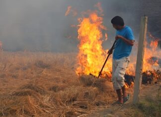 Φάρσαλα: Έβαλε να κάψει υπολείμματα καλλιεργειών και του ήρθε η… λυπητερή από την Πυροσβεστική