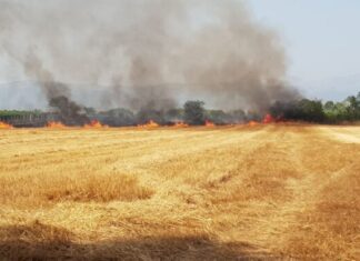Λάρισα: Φωτιά σε καλαμιά στον δρόμο Αμπελώνα – Γιάννουλης