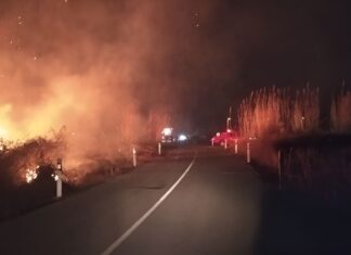 Τι έγινε τελικά με τη φωτιά στην Αμυγδαλιά Λάρισας;