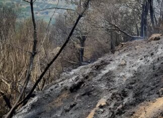 Ελασσονίτες έφαγαν… καμπάνα από την Πυροσβεστική