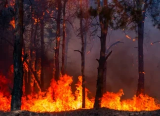 Πολύ υψηλός κίνδυνος για πυρκαγιές αύριο Τετάρτη στην Π.Ε. Λάρισας